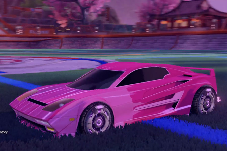 Rocket league Diestro Pink design with Cruxe,Wet Paint