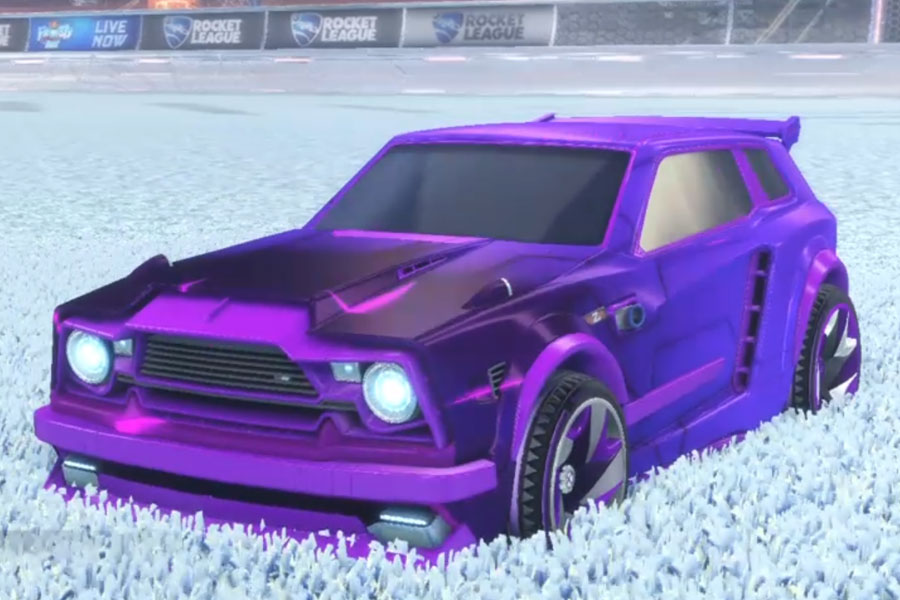 Rocket league Fennec Purple design with Reaper,Mainframe